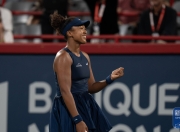 天博- 西宫好美在西宫光中的角色 