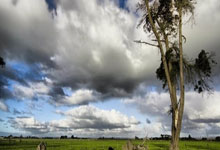 天博体育-布莱顿内部会议纪要流出——关键时刻再遭质疑，法甲使命明确，临场指挥获称赞的简单介绍